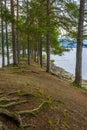 VesleÃÂ¸ye island nature in town Fagernes Fylke Innlandet Norway