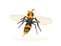 Vespa mandarinia magnifica - Asian giant murder hornet. Royalty Free Stock Photo