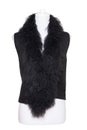 Vest isolated. Black women vest with a large fur collar on mannequin isolated on a white background. Woman fashion Royalty Free Stock Photo