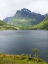 Vesteralen coastal landscape