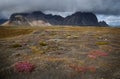 Vestrahorn mountain on Stokksnes in Iceland Royalty Free Stock Photo