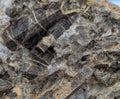 vesuvian mineral texture Royalty Free Stock Photo