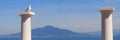 Vesuvius panorama from Sorento with columns and seagull