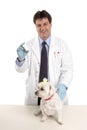 Vet with bottle of pills tablets Royalty Free Stock Photo