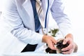 Vet checks the health of a cat Royalty Free Stock Photo