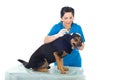 Vet cleaning dog ear Royalty Free Stock Photo