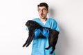 Vet clinic concept. Amazed male doctor veterinarian holding cute black pug dog, smiling and staring left impressed Royalty Free Stock Photo