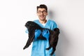 Vet clinic concept. Happy male doctor veterinarian holding cute black pug dog, smiling at camera, white background Royalty Free Stock Photo