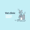 Vet clinic. Pet health insurance. A happy smiling cat with fractured paw and tail. Template for advertising. Royalty Free Stock Photo