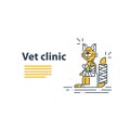 Vet clinic. Pet health insurance. A happy smiling cat with fractured paw and tail. Template for advertising. Royalty Free Stock Photo
