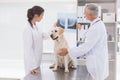 Vet coworker examining xray of a dog