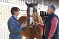 Vet In Discussion With Horse Owner Royalty Free Stock Photo