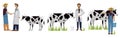 Vet doctor and cows Vector. Medicine poster project layout templates