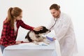 Dog getting checked at vet clinic with thir owner. Royalty Free Stock Photo