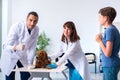 Vet doctor examining golden retriever dog in clinic Royalty Free Stock Photo