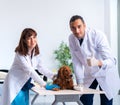 Vet doctor examining golden retriever dog in clinic Royalty Free Stock Photo
