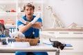 The vet doctor examining kittens in animal hospital Royalty Free Stock Photo