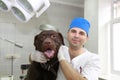 Vet and dog. Royalty Free Stock Photo