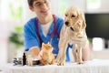 Vet with dog and cat. Puppy and kitten at doctor Royalty Free Stock Photo