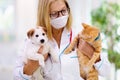 Vet with dog and cat. Puppy and kitten at doctor Royalty Free Stock Photo