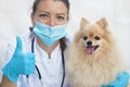 Vet and dog in clinic. happy doctor veterinarian and pomeranian spitz smiling, looking at camera, thumbs up. Veterinary concept. H