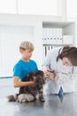 Vet examining a cat with its owner Royalty Free Stock Photo