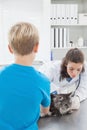 Vet examining a cat with its owner Royalty Free Stock Photo