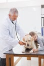 Vet examining a dog with its uneasy owner