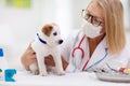 Vet examining dog. Puppy at veterinarian doctor Royalty Free Stock Photo