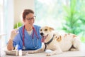 Vet examining dog. Puppy at veterinarian doctor Royalty Free Stock Photo