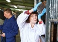 Vet giving medical exam to horse Royalty Free Stock Photo