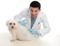 Vet giving pet dog immunisation or other treatment Royalty Free Stock Photo