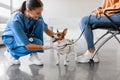 Vet greets excited dog at clinic visit