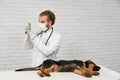 Vet holding syringe, dog lying on side.