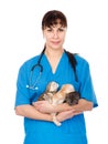 Vet holds three kittens. isolated on white background Royalty Free Stock Photo