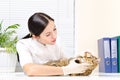 Vet inspects teeth cat Royalty Free Stock Photo