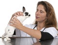 Vet looking at a Dalmatian rabbit