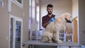 Vet making injection to dog`s scruff of neck