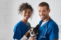 Vet and nurse holding cute dog Royalty Free Stock Photo