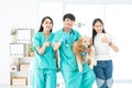 Vet and owner showing thumbs up. Owner and veterinary holding cute Golden Retriever dog showing like