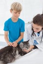 Vet petting a cat with its owner Royalty Free Stock Photo