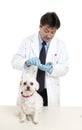 Vet with prescription Royalty Free Stock Photo