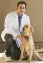 Vet and retriever Royalty Free Stock Photo
