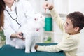 Vet with a stethoscope examines the Persian cat ,little boy give