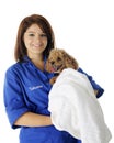 Vet Volunteer with Patient Royalty Free Stock Photo