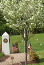 U.S. Flags in Veteran Cemetery