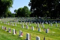 Veteran`s Day Cemetery with flags Royalty Free Stock Photo