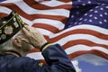 Veteran's Saluting Royalty Free Stock Photo