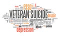 Veteran suicides PTSD