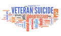 Veteran suicides